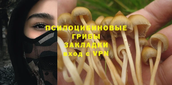 spice Абинск