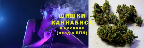 винт Абаза