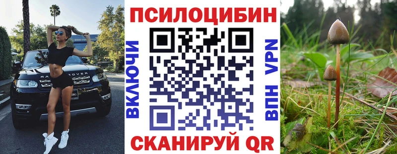 Псилоцибиновые грибы Cubensis  KRAKEN как зайти  мориарти телеграм  Назрань 