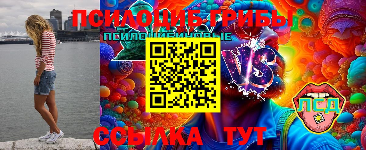 Назрань  Галлюциногенные грибы Magic Shrooms  где купить наркотик  Вход с VPN  Галлюциногенные грибы Cubensis 
