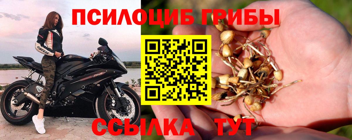 Псилоцибиновые грибы Magic Shrooms Назрань